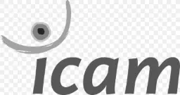 Logo de l'école Icam